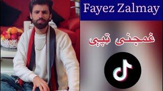 Fayez zalmay | tapay | ta ba me ghware - ته به می غواری زه به نه یم