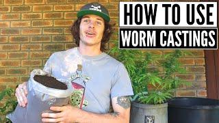 How to use Worm Castings!