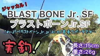 ジャッカル　BLAST BONE Jr.SF／ブラストボーンJr.SF 実釣‼️これはブラストボーンJr.における貴重なデータと言えます…