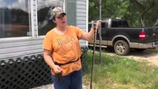 Girl catches large snake with bare hands and eats it!