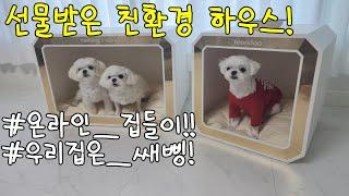 선물받은 친환경 강아지 하우스 ㅣ 우리집은 쌔삥 ㅣ 고급스러운 지트펫 하우스 ㅣ an eco-friendly dog house