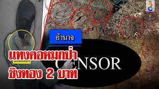 ฆ่าแทงคอโหดชิงทอง 2 บาท หมกศพป่ายูคาฯ | ลุยชนข่าว | 6 พ.ย. 67