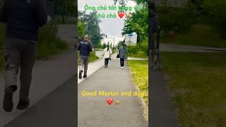 Chú chó may mắn #dog #chien #chódễthương