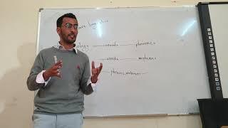 Pure Linguistics: Subfields of Linguistics @RadwanElNaji