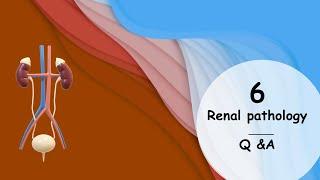 Renal Pathology MBBS Questions | Viva Questions | Pathology Course | Pyelonephritis Questions |