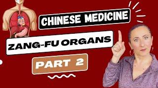 The Zang Fu Organ theory in Chinese Medicine (Part 2)