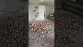 1 mouse vs 1,000 Mice