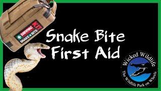 Snake Bite First Aid - How To Treat A Snakebite