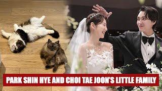 The little family of Park Shin Hye and Choi Tae Joon got happier than ever with 7 members!