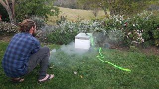 Aussie Beekeeping: Our First Wild Swarm on the Homestead