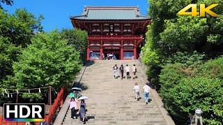 Tsurugaoka Hachimangu Shrine in Japan Virtual Walk 4K HDR (鎌倉散歩)