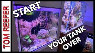 Reef Tank (DON'T GET STUCK - START YOUR REEF TANK OVER ) EP. 2 THE ROCKS!
