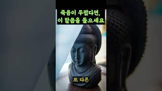 죽음이 두렵다면, 이 말씀 들으세요 #부처님말씀 #마음수련 #인생조언 #명언