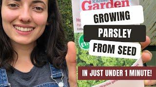 Growing Parsley From Seed In Less Than 1 Minute!