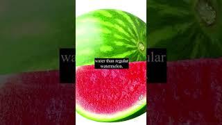 Tiktok: Why is Black Watermelon so Expensive? (@cryptomale69)