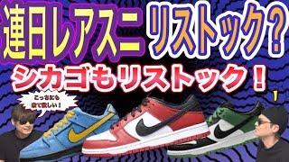 レアスニが連日リストック？ナイキ SB ダンク ロー プロ "ジェーパック シカゴ/バーシティレッド アンド ホワイト" Nike SB Dunk Low “Chicago”  BQ6817-600