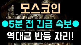 [모스코인 전망] ●5분 전 긴급 속보●  역대급 반등 자리 터치했습니다!