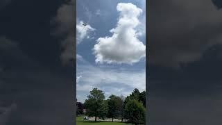 8 year old Gabe flying kite for the 1st time#determination#detroit#summer