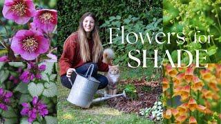 Transforming A Messy Corner Into A Lush Flowerbed (Underplanting hydrangeas) ‍🟫