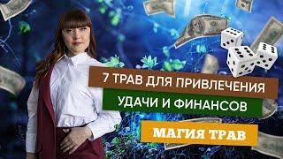 7 трав для привлечения удачи и финансов (Магия трав)