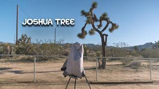 Joshua Tree on 8x10" Film - The Darkroom Film Round-Up - Large Format Friday