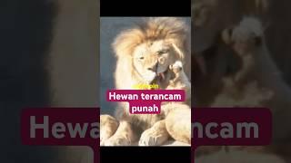 Hewan terancam punah #funny #hewan #1KCreator