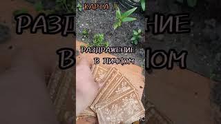 31 августа КАРТА ДНЯ ТАРО,гадаю онлайн ,магия,помощь.#31августа #гадаюонлайн #магиявпомощь #