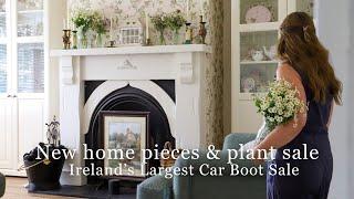 What Home Decor Gems I Found at Ireland’s Biggest Car Boot Flea Market + Cottage Plants in Waterford