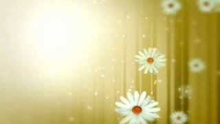 Valsa das Flores(Tchaikovsky)-Waltz of the Flowers.wmv