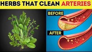 Magical Herbs To Clean Your Arteries | Herbs To Clean Blood Vessels | Herbs For Arteries