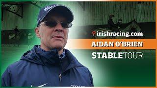 Ballydoyle | Aidan O'Brien Stable Tour