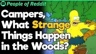 Campers, What Strange Things Happen in The Woods?