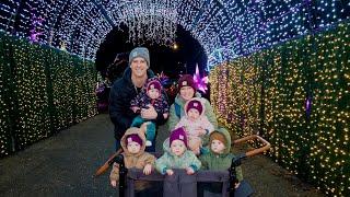 Christmas Lights -  A Perfect Way To Entertain Five Babies!