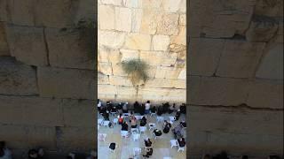 The Most Holy Place For Jews - Aerial View Western Wall, Jerusalem