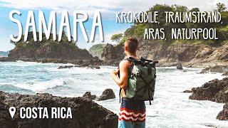 Samara: Aras, Krokodile, Naturpool, Traumstrand • Costa Rica • Vlog 213