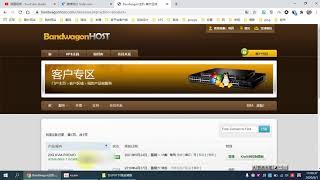 bandwagonhost（搬瓦工）VPS服务器后台控制面板的使用，获取用户名和密码；重新安装系统，小白教程