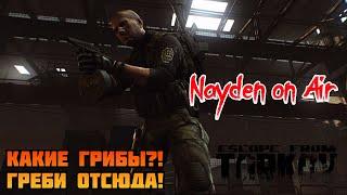 Прокачка с нуля | Ищем грибы. А находим грибников  Escape from Tarkov 0.13.0 | Стрим #21