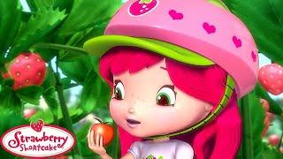 Strawberry Shortcake  The Berry Big Harvest!!  Berry Bitty Adventures  Cartoons for Kids