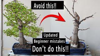 Beginner mistakes that are killing your Bonsai, must watch!