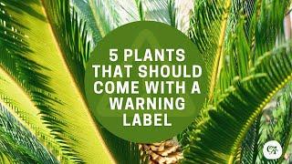 5 Plants That Should Come With A Warning Label | Catherine Arensberg