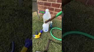 How to control Bermuda Grass from getting in your beds