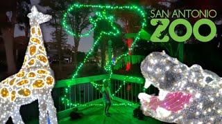 San Antonio Zoo During Christmas! | San Antonio, TX