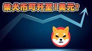 柴犬币可升上1美元？柴犬币始创人：市值可达1000亿美元｜Cryptonews