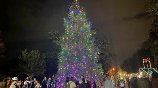 Get into the holiday spirit at these CSRA tree-lightings