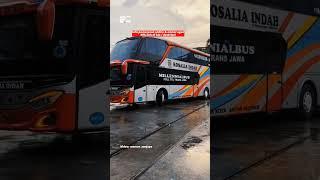 Harga Tiket Sleeper Bus Rosalia Indah Terbaru