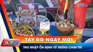 Thu nhập ổn định từ trứng chim trĩ | Cần Thơ TV