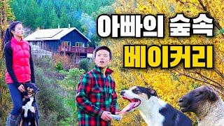 [힐링영상] 귀촌한 한인가족의 따뜻한 가을 일상입니다 I Autumn Daily Life of Korean Kiwi Family In NZ