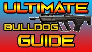 VALORANT BULLDOG Guide