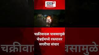 Cyclone Michaung पावसामुळे रस्त्यावर मगरीच्या संचार #shorts