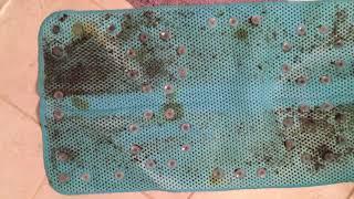 Moldy Anti-Slip Bathtub Mat from Walmart